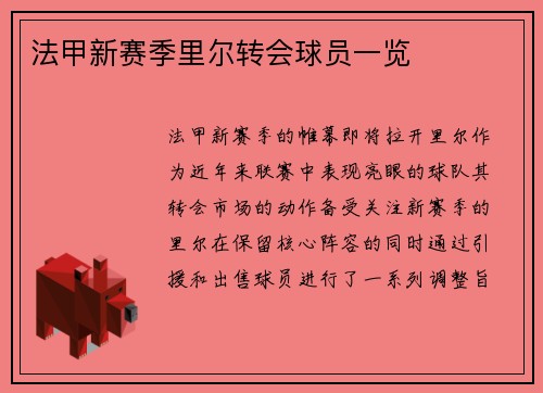法甲新赛季里尔转会球员一览